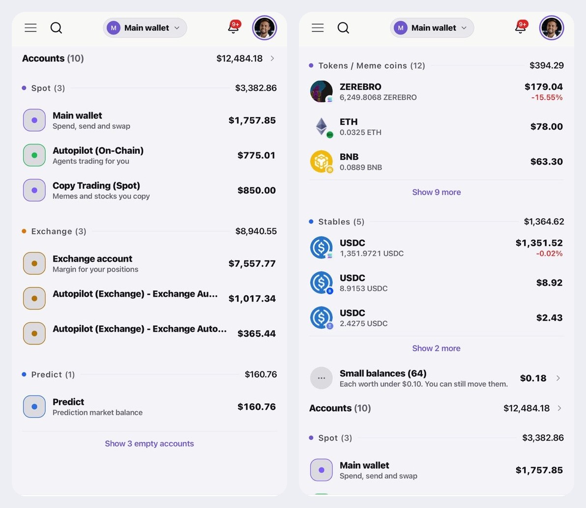 Accounts grouped by type, holdings grouped by kind